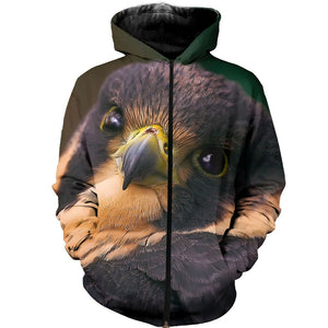 3D All Over Printed Falcon Shirts And Shorts DT231112