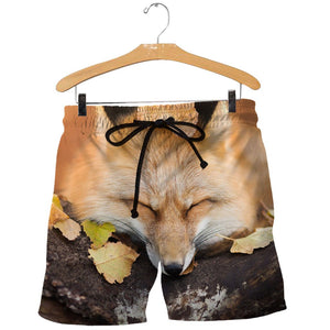3D All Over Printed Fox Shirts And Shorts DT071204