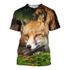 3D All Over Printed Fox Shirts And Shorts DT171107