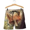 3D All Over Printed Fox Shirts And Shorts DT2102201902
