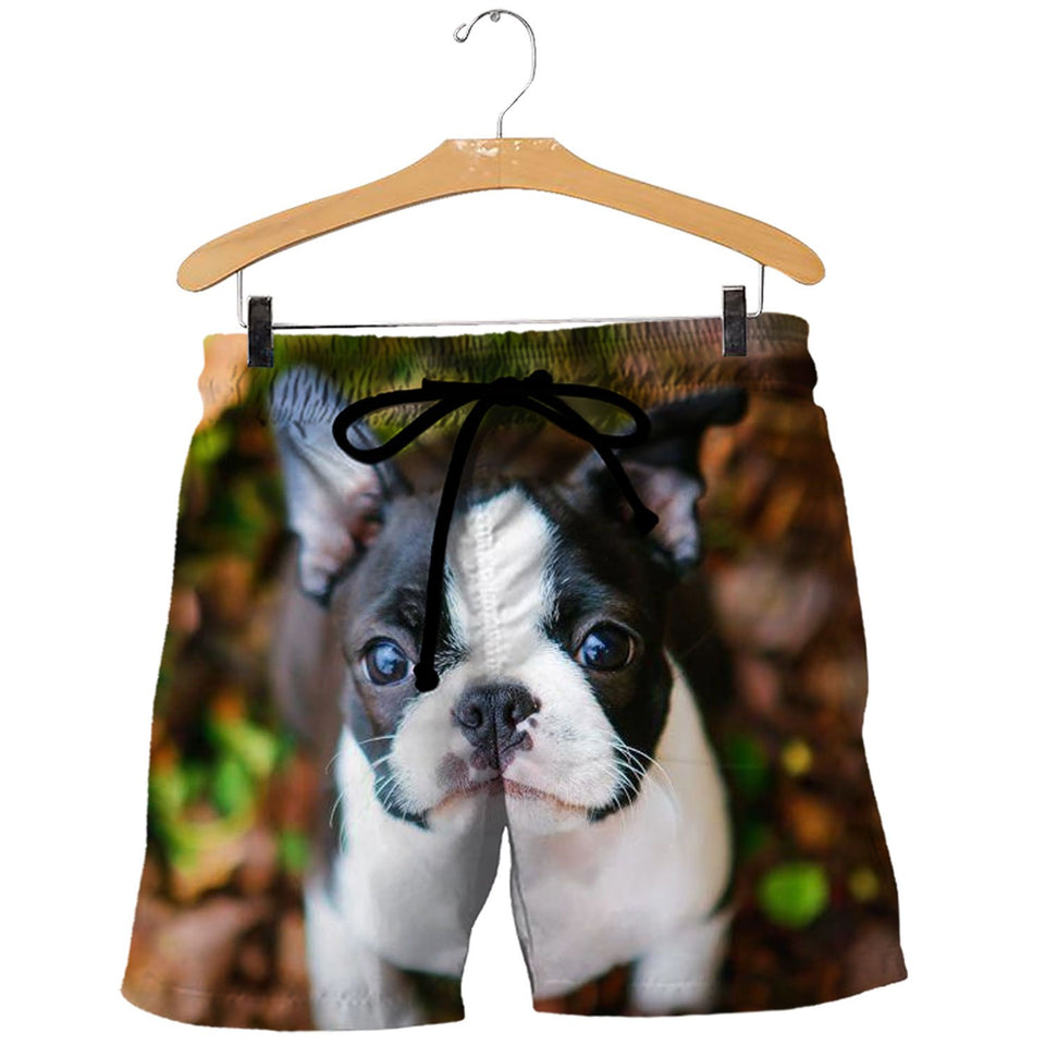3D All Over Printed French Bulldog Shirts And Shorts DT30081912