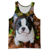 3D All Over Printed French Bulldog Shirts And Shorts DT30081912