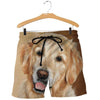 3D All Over Printed Golden Retriever Shirts And Shorts DT171110