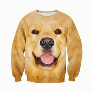 3D All Over Printed Golden Retriever Shirts And Shorts DT31071999