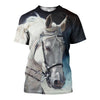 3D All Over Printed Horse Shirts And Shorts DT03061901