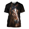3D All Over Printed Horse Shirts And Shorts DT121103