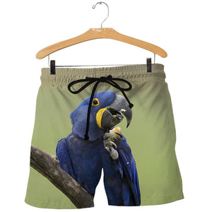 3D All Over Printed Macaw Parrot Shirts And Shorts DT01061901
