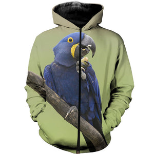 3D All Over Printed Macaw Parrot Shirts And Shorts DT01061901