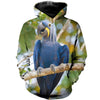 3D All Over Printed Macaw Parrot Shirts And Shorts DT29051903