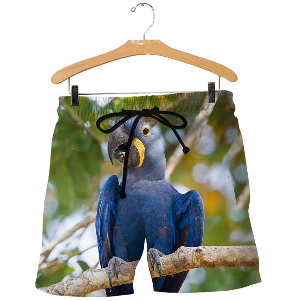 3D All Over Printed Macaw Parrot Shirts And Shorts DT29051903