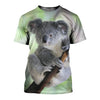 3D All Over Printed Koala Shirts And Shorts DT30081904