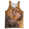 3D All Over Printed Labrador Retriever Shirts And Shorts DT15081901
