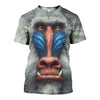 3D All Over Printed Mandrill Shirts And Shorts DT23081919
