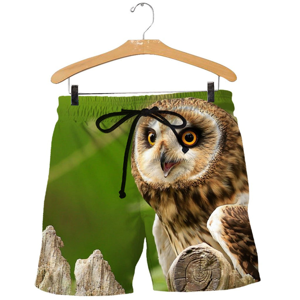 3D All Over Printed Owl Shirts And Shorts DT171103