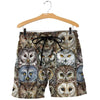 3D All Over Printed Owls Shirts And Shorts DT101201