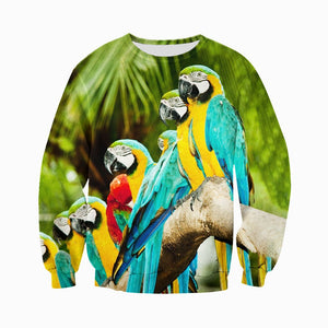 3D All Over Printed Blue and Yellow Macaw Shirts And Shorts DT071205