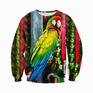 3D All Over Printed Parrot Shirts And Shorts DT091111