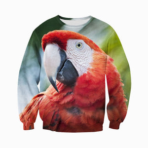 3D All Over Printed Macaw Parrot Shirts And Shorts DT231103