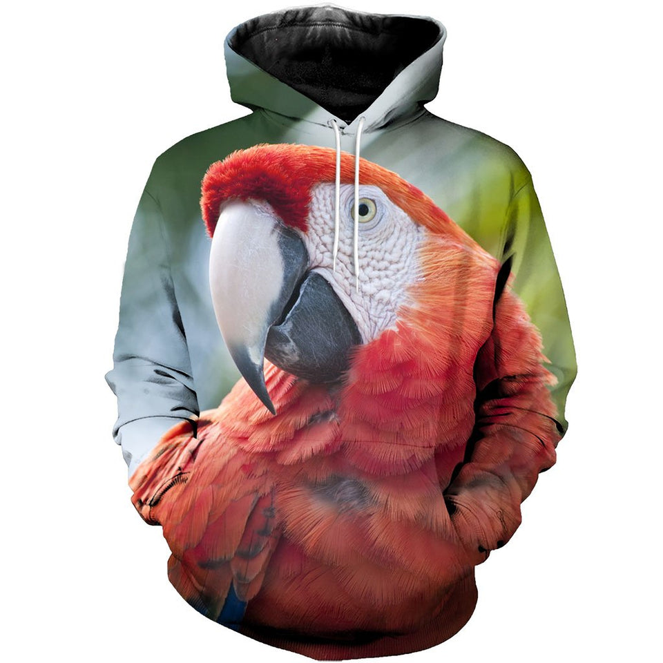 3D All Over Printed Macaw Parrot Shirts And Shorts DT231103