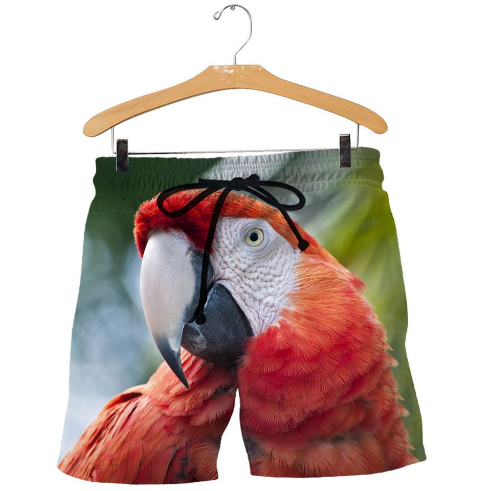 3D All Over Printed Macaw Parrot Shirts And Shorts DT231103