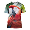 3D All Over Printed Macaw Parrot Shirts And Shorts DT231103
