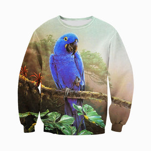 3D All Over Printed Parrot Shirts And Shorts DT25071904