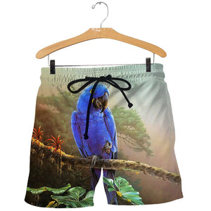 3D All Over Printed Parrot Shirts And Shorts DT25071904
