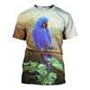 3D All Over Printed Parrot Shirts And Shorts DT25071904