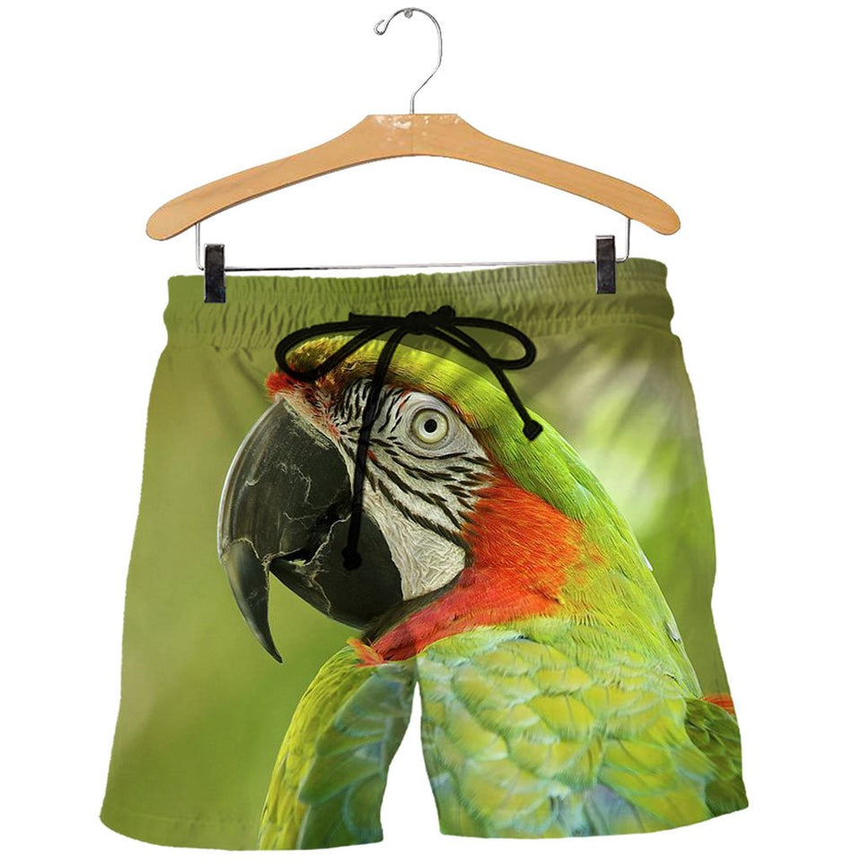 3D All Over Printed Macaw Parrot Shirts And Shorts DT29051901