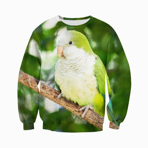 3D All Over Printed Quaker Parrot Shirts And Shorts DT15071907