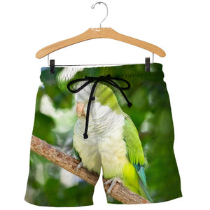 3D All Over Printed Quaker Parrot Shirts And Shorts DT15071907