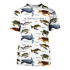 3D All Over Printed Sea Turtle Shirts And Shorts DT101203