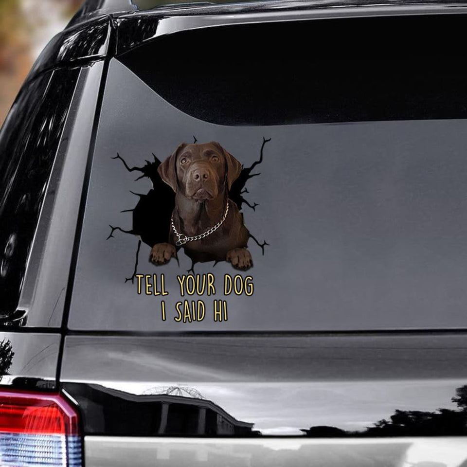 Funny Labrador Car Decals Dogs Sticker Gift For Window Sticker Pet Vin –  Camellia Print