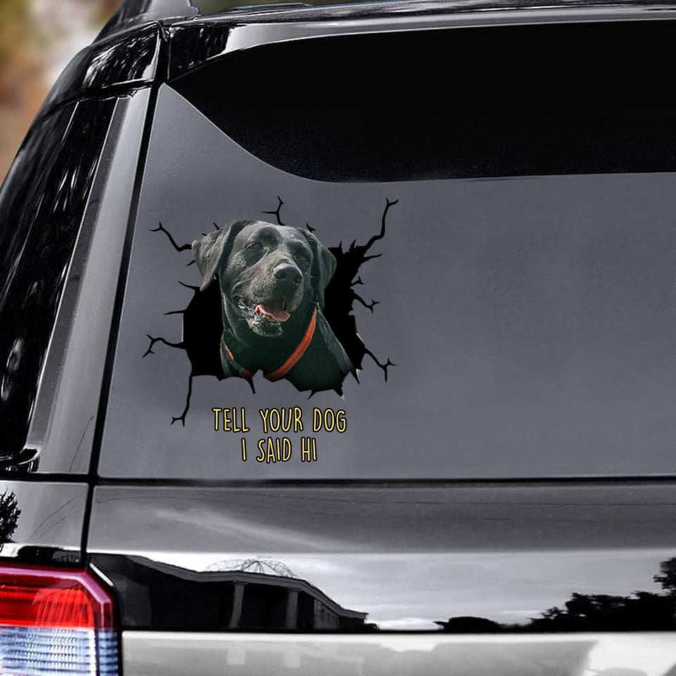 Tell Your Dogs I Said Hi - Black Labrado Vinyls Car Decals Window Sticker Car Gift For Labrado Decals Lover