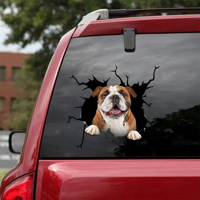 [ha0002-snf-tnt]-bulldog-crack-car-sticker-dogs-lover