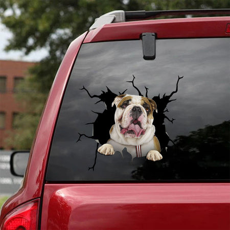 [ha0004-snf-tnt]-bulldog-crack-car-sticker-dogs-lover