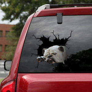[ha0006-snf-tnt]-bulldog-crack-car-sticker-dogs-lover