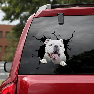 [ha0007-snf-tnt]-bulldog-crack-car-sticker-dogs-lover