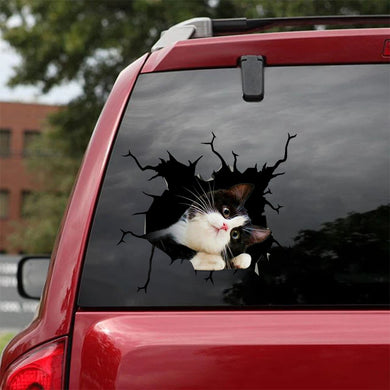 [ha0016-snf-lad]-tuxedo-crack-car-sticker-cats-lover