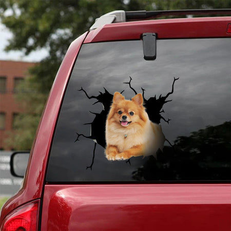 [ha0020-snf-tpa]-pomeranian-crack-car-sticker-dogs-lover
