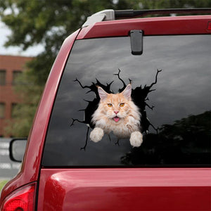 [ha0041-snf-lad]-the-maine-coon-crack-car-sticker-cats-lover