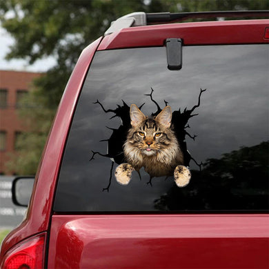[ha0042-snf-lad]-the-maine-coon-crack-car-sticker-cats-lover