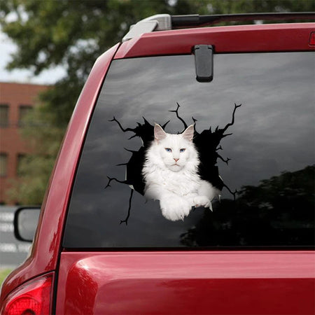[ha0043-snf-lad]-the-maine-coon-crack-car-sticker-cats-lover