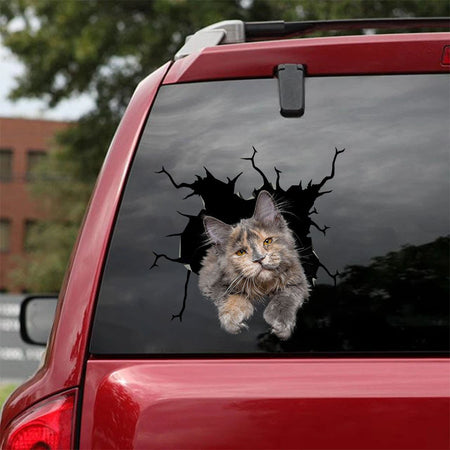 [ha0045-snf-lad]-the-maine-coon-crack-car-sticker-cats-lover
