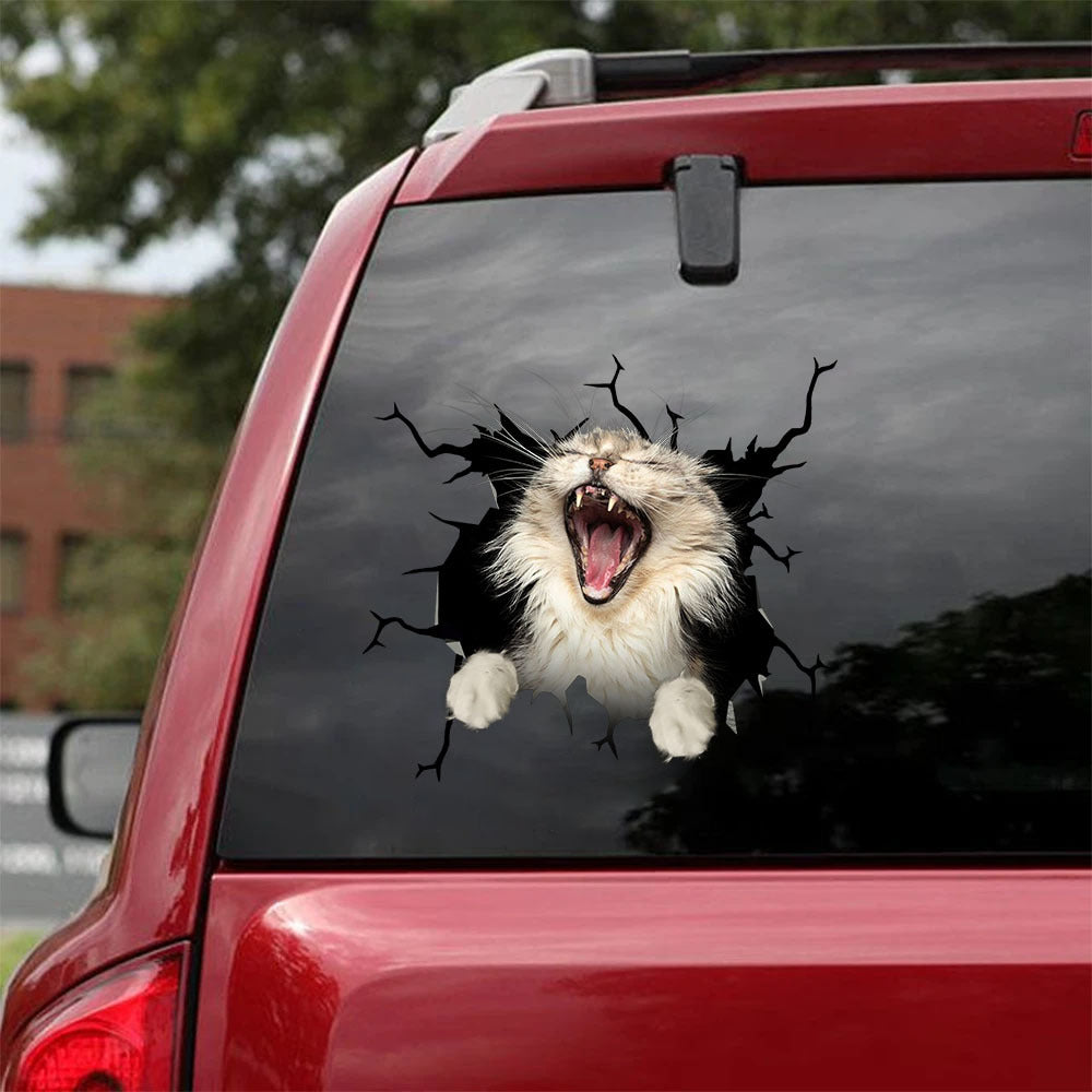[ha0046-snf-lad]-the-maine-coon-crack-car-sticker-cats-lover