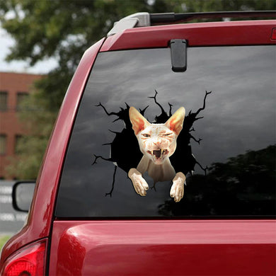 [ha0050-snf-lad]-the-sphynx-crack-car-sticker-cats-lover