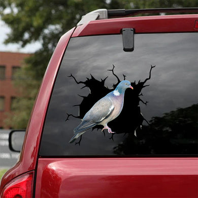 [ha0062-snf-tpa]-pigeon-crack-car-sticker-pigeon-lover