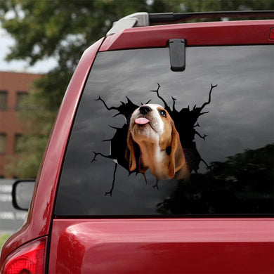 [ha0086-snf-tpa]-beagle-crack-car-sticker-dogs-lover
