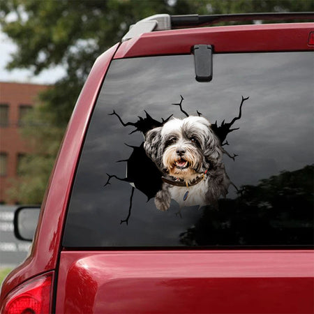 [ha0090-snf-ptd]-tibetan-terriers-crack-car-sticker-dogs-lover