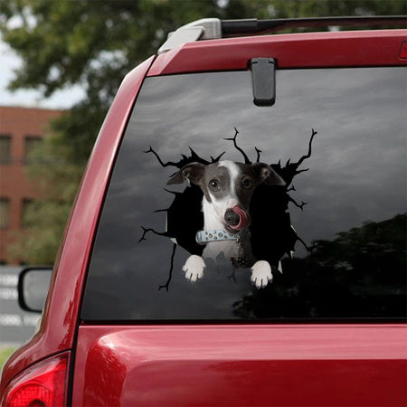 [ha0119-snf-tpa]-italian-greyhound-crack-car-sticker-dogs-lover